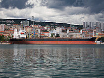 PARALOS — Bulk Carrier, Liberia flag, built 2006