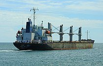 NEW SOUL — Bulk Carrier, Barbados flag, built 2008