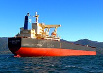 SHINWA-MARU — Bulk Carrier, Liberia flag, built 2008