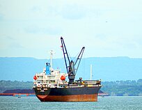TOYO HOPE — General Cargo Ship, Panama flag, built 2005