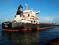YANGTZE SELINDA — Bulk Carrier, Panama flag, built 2007