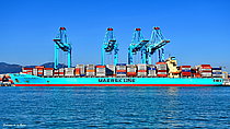 MAERSK DETROIT