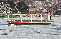 ARNEBORG — General Cargo Ship, Netherlands flag, built 2006