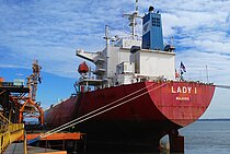 LADY I — Bulk Carrier, Marshall Islands flag, built 2007