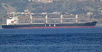 MAVI VATAN — Bulk Carrier, St.Kitts and Nevis flag, built 2007