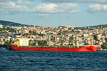 VALENTINA 1