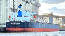 ROSCO POPLAR — Bulk Carrier, HONG KONG flag, built 2008