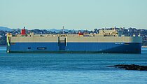 SALVIA ACE — Ro Ro Cargo Ship, Japan flag, built 2008
