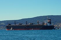 SILVER PEGASUS — Bulk Carrier, Panama flag, built 2007