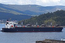REGNO MARINUS — Bulk Carrier, Marshall Islands flag, built 2008
