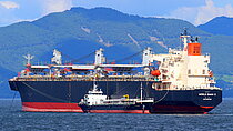 WORLD SWAN II — Bulk Carrier, Japan flag, built 2006
