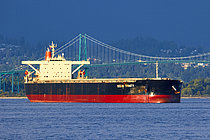 OCEAN TRINITY — Bulk Carrier, PANAMA flag, built 2006