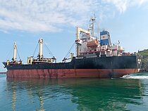 ANNA ROSE — General Cargo Ship, St.Kitts and Nevis flag, built 2005