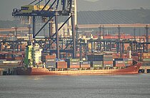 NINGBO TRADER