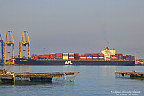 APL FLORIDA