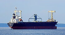 SUNNY FAITH — General Cargo Ship, BAHAMAS flag, built 2007