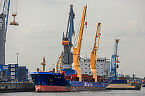 BBC MAINE — General Cargo Ship, Antigua and Barbuda flag, built 2007