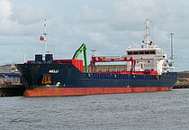 NELLI — General Cargo Ship, Antigua and Barbuda flag, built 2009