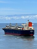 SHEARWATER — Bulk Carrier, Panama flag, built 2008