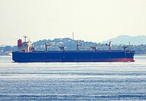 STRELITZIA — Bulk Carrier, Panama flag, built 2010