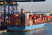 MUSTAFA DAYI — Container Ship, Turkey flag, built 2005