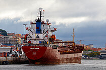GRONA RAVEN — General Cargo Ship, Marshall Islands flag, built 2005