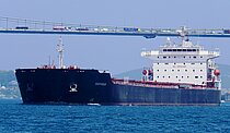 DARYABAR — Bulk Carrier, IRAN  flag, built 2008