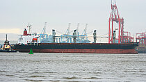 SEA LIONS — General Cargo Ship, Liberia flag, built 2007