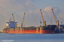 CASTOR — Bulk Carrier, LIBERIA flag, built 2008