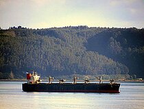 UNIVERSAL PIONEER — Bulk Carrier, Panama flag, built 2010