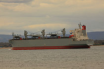 SENDAI SPIRIT — Bulk Carrier, Panama flag, built 2008