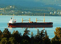PLATE QUEEN — Bulk Carrier, MARSHALL ISLANDS flag, built 2007
