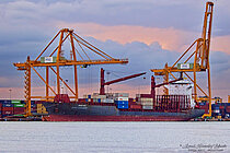 MSC WOLF II — Container Ship, LIBERIA flag, built 2007