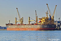 TN DAWN — Bulk Carrier, MARSHALL ISLANDS flag, built 2008