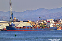 SARDES — General Cargo Ship, The Republic of Panama flag, built 2006