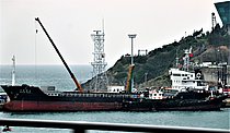 STAR REX — Bulk Carrier, PALAU flag, built 2006