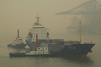 JING YE — Container Ship, PANAMA flag, built 2006
