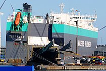 TIRRANNA — Bulk Carrier, NORWAY flag, built 2009
