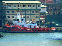 PYAREY  LAL — Tug, INDIA flag, built 2006