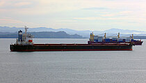 THE GUARDIAN — Bulk Carrier, PANAMA flag, built 2007