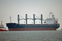 LUCKY CAMELIA — General Cargo Ship, PANAMA flag, built 2008