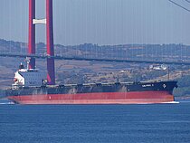 IONIAN PRINCESS — Bulk Carrier, Liberia flag, built 2007