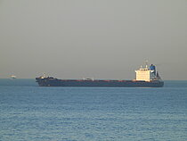 BLD PLATINUM — Bulk Carrier, Liberia flag, built 2008