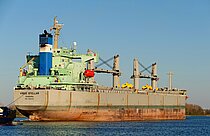 VIRGO STELLAR — Bulk Carrier, PANAMA flag, built 2008