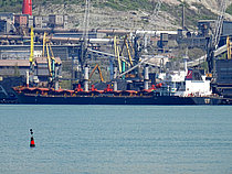 PEGASUS 8 — Bulk Carrier, Marshall Islands flag, built 2007