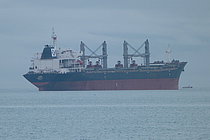 XING SHENG — Bulk Carrier, Barbados flag, built 2007
