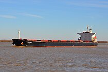 OCEAN BELT — Bulk Carrier, HONG KONG flag, built 2008