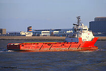 ACE BRAEMAR