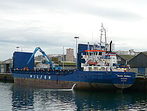 WILSON DRAMMEN