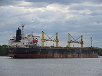 SEA ALISON — Bulk Carrier, Republic of the Marshall Islands flag, built 2008